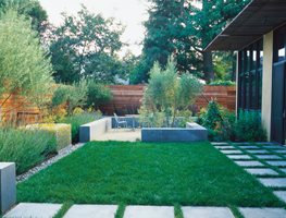Minimalist Garden, Small Lawn
Ground Studio
Monterey, CA