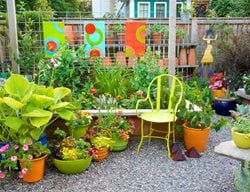 Bright Patio With Containers
Container Garden Pictures
Linda Ernst
Portland, OR