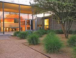 Ornamental Grass
Ten Eyck Landscape Architects
Austin, TX