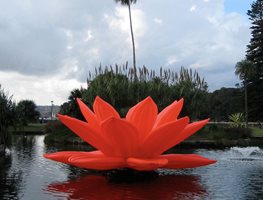 Choi Jeong Hwa's Flowers
Garden Design
Calimesa, CA