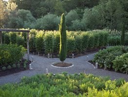 "Dream Team's" Portland Garden
MIX Garden
Healdsburg, CA