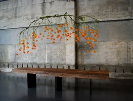 Holiday Centerpieces: Hanging Sculptures
Garden Design
Calimesa, CA