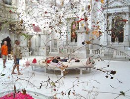 Falling Garden 4
Garden Design
Calimesa, CA