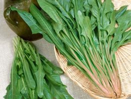 Garden Design
Calimesa, CA
