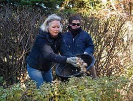 The Craft of Interplanting with Jacqueline van der Kloet, Slide Show
Garden Design
Calimesa, CA