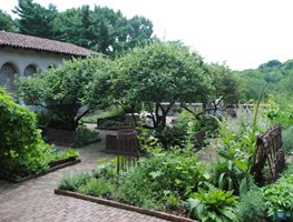 The Cloisters Garden, Ny
Garden Design
Calimesa, CA