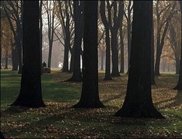 Prairie Gardens — Jens Jensen
Garden Design
Calimesa, CA