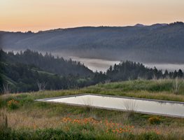 Bernard Trainor — Marin County, California
Garden Design
Calimesa, CA