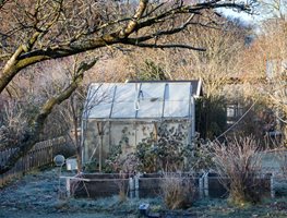 Garden In Winter, Greenhouse
Shutterstock.com
New York, NY