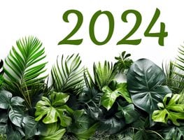 2024 Banner With Plants
Garden Design
Calimesa, CA