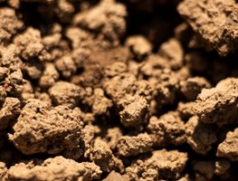 Clay Soil, Soil
Shutterstock.com
New York, NY