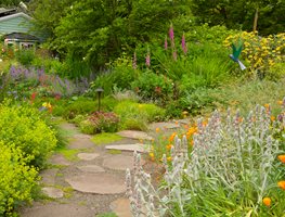 Meadow Garden Pathway
Garden Design
Calimesa, CA