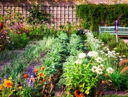 Organic Vegetable And Flower Garden, Organic Garden
Shutterstock.com
New York, NY