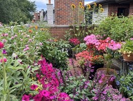 Colorful Rooftop Flower Garden
Garden Design
Calimesa, CA