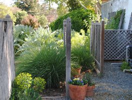 French Laundry Restaurant Garden
Garden Design
Calimesa, CA