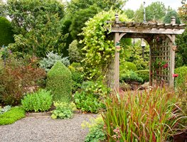 Garden Bed With Arbor
Garden Design
Calimesa, CA
