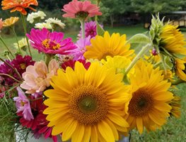 Fresh Cut Flowers, Garden Flowers
Shutterstock.com
New York, NY