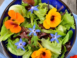 Edible Flowers On Salad
Shutterstock.com
New York, NY