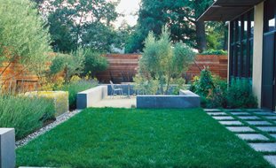 Minimalist Garden, Small Lawn
Ground Studio
Monterey, CA