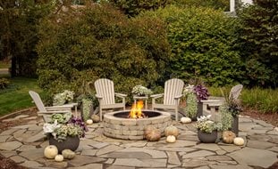 Outdoor Fire Pit With Seating, Fall Fire Pit
Proven Winners
Sycamore, IL