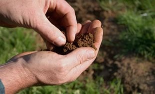 Garden Soil, Soil Preparation
Shutterstock.com
New York, NY
