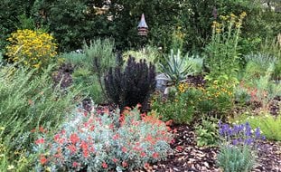 Garden With Perennials And Bird House
A Rustic Perennial Paradise
Garden Design
Calimesa, CA