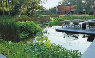 Ecofriendly Lap Pool
Nelson Byrd Woltz
Charlottesville, VA