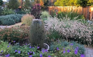 Low-Water Garden
Garden Design
Calimesa, CA