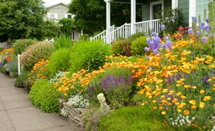 Sloped Front Yard, Hillside Landscaping
Garden Design
Calimesa, CA