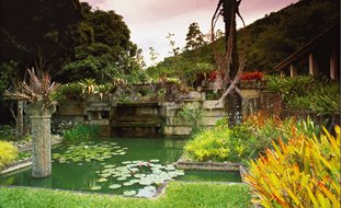 Garden Design
Calimesa, CA
