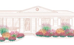 Heat-Tolerant Foundation Planting
Proven Winners
Sycamore, IL