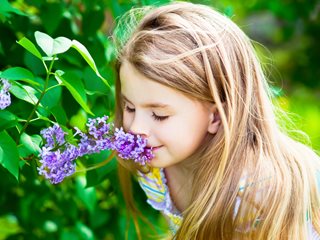 Girl Smelling Lilac Flowers, Fragrant Lilac Flowers
Shutterstock.com
New York, NY
