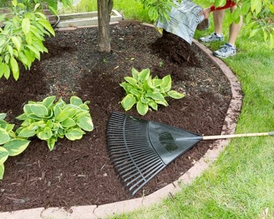 Adding Mulch To Garden Bed
"Dream Team's" Portland Garden
Shutterstock.com
New York, NY