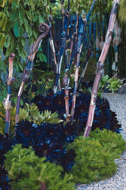 Garden Sculptures, Marcia Donahue, Aeonium Zwartkop
Mediterranean Berkeley Garden, Photo Gallery
Brandon Tyson
Berkeley, CA