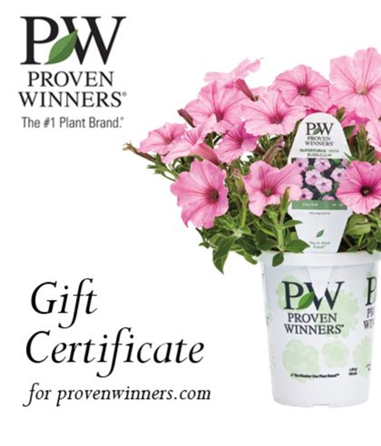 Proven Winners Gift Certificate