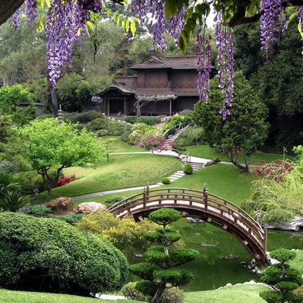 The Huntington, Japanese Garden
Garden Design
Calimesa, CA