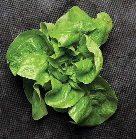 Garden Design
Calimesa, CA