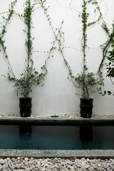 Alys Beach
Garden Design
Calimesa, CA