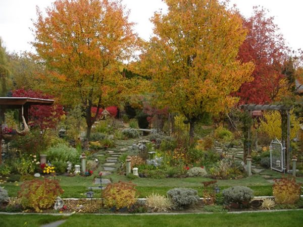 An Ever-Changing Therapy Garden
Garden Design
Calimesa, CA