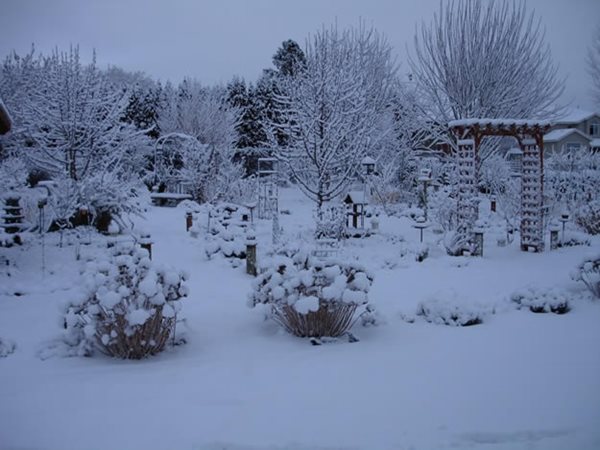 An Ever-Changing Therapy Garden
Garden Design
Calimesa, CA