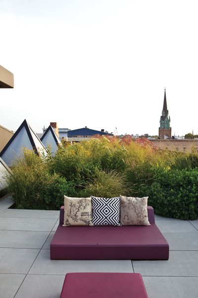 Bespoke Wallpaper from a Retro-Chic Brooklyn Design Studio
Garden Design
Calimesa, CA
