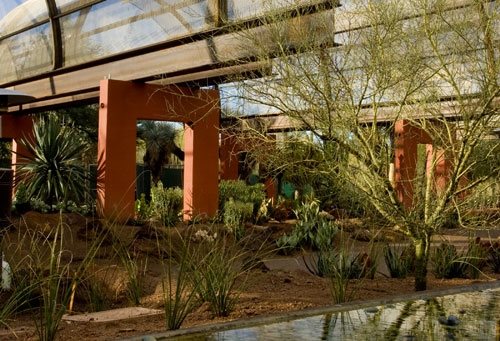 Desert Botanical Garden
Garden Design
Calimesa, CA