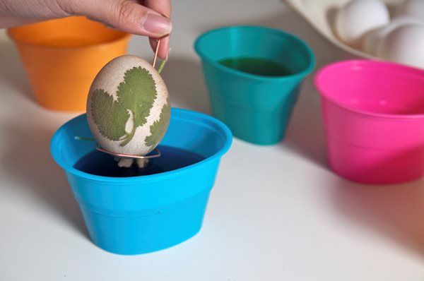 Easter Eggs Stenciled With Herbs
Garden Design
Calimesa, CA