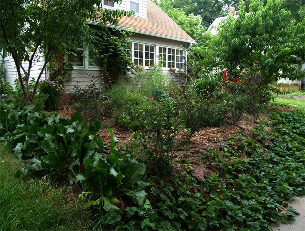 Edible Estates: Attack on the Front Lawn
Garden Design
Calimesa, CA