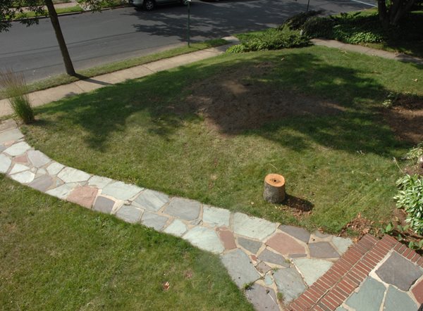 Edible Estates: Attack on the Front Lawn
Garden Design
Calimesa, CA
