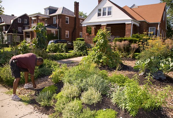 Edible Estates: Attack on the Front Lawn
Garden Design
Calimesa, CA