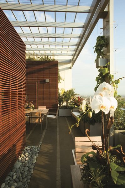 Jungles' Miami Rooftop Garden
Garden Design
Calimesa, CA