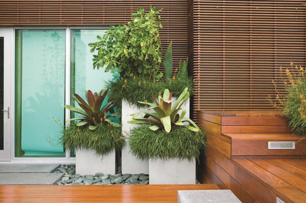 Jungles' Miami Rooftop Garden
Garden Design
Calimesa, CA