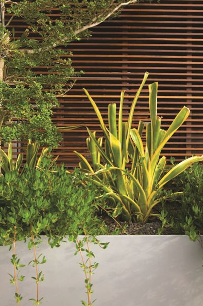 Jungles' Miami Rooftop Garden
Garden Design
Calimesa, CA