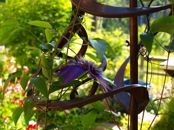 Garden Design
Calimesa, CA